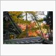 篠山市洞光寺