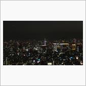 晴れた夜空はこんなモノかな？