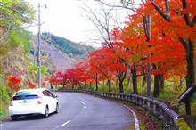 紅葉狩り~名栗湖~(^_^) 紅葉狩り~名栗湖~(^_^)