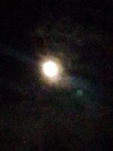 十六夜