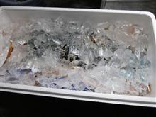 大分県佐伯市　ふるさと納税 返礼品 ブリ半身！