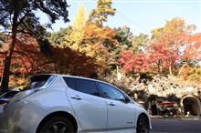 庭園の紅葉 庭園の紅葉