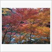 晩秋紅葉ドライブ（その１）　 ...