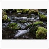 水が流れる音がする