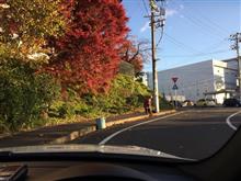 落ち葉の季節