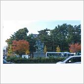 秋の小田原城へ