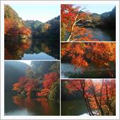 鎌北湖の紅葉