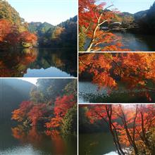 鎌北湖の紅葉