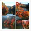 鎌北湖の紅葉
