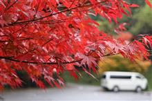 大村 黒木渓谷 紅葉☆彡