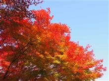 90th TSMとCiao! autunno 90th TSMとCiao! autunno