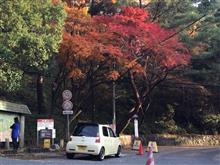 エッセと紅葉と六甲山。