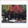 エッセと紅葉と六甲山。