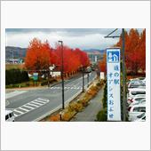 道の駅で紅葉を愛でる