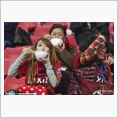 たしかに美女！試合見ながらラ ...