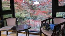 45箱根旅　