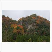 紅葉狩りに・・・