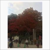 高尾山　サンアイク
