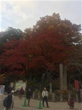 高尾山　サンアイク