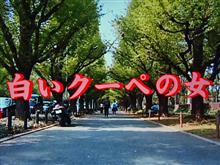 ドラマタイトル「白いクーペの女」が気になって観たドラマ。（笑）