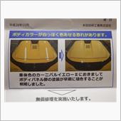 カーニバルイエローⅡ