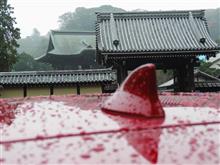 4週連続の紅葉狩り（鎌倉だよ）