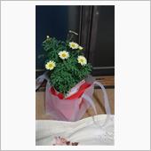 誕生日の記念として、買っちゃ ...