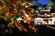 久々のデート( *&#180;艸｀)