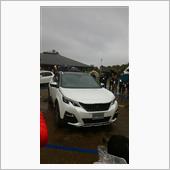 大雨のプジョー　ライオン　ミ ...