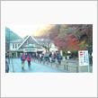 （八王子市）紅葉の高尾山へ[簡易版]