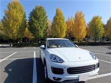敷島公園駐車場　&#39;16.11.18