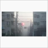 濃霧注意報だったのだヨd(￣ ...