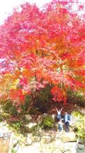 曽木公園　ナウ