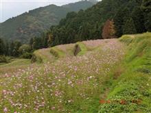 旬をはずしましたが〜