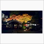 岐阜へ観光旅行（載せる予定）