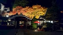 岐阜へ観光旅行（載せる予定）