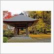 広徳寺の紅葉