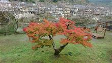 今日は S4 と 883 で紅葉狩りへ・・・(^_-)-☆