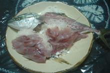 酒の肴　魚・・・かな？