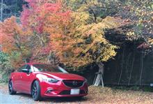 紅葉ドライブ♪ 紅葉ドライブ♪