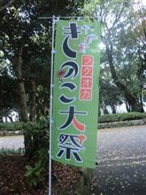 きのこ料理が食べたかった・・・