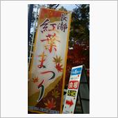 紅葉日和