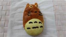 何に見える？