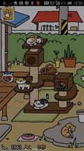 リアル…ねこあつめ（笑）