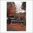 京都府南丹市 龍穏寺
