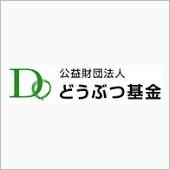 22日はねこの日!?　(猫ブ ...