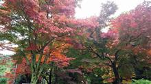 近場で紅葉