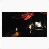 ２日連続 和歌山日帰り 〜夜 ...