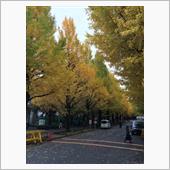 2016年11月21日・慶應 ...