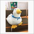 やっぱり解約が楽でしょう〜( ◠‿◠ )！